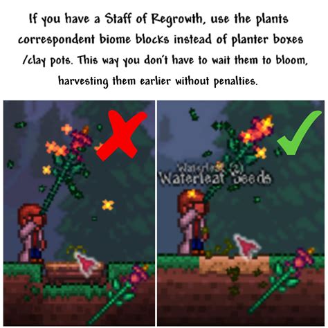 Planter Box Recipe Terraria at Angela Williamson blog