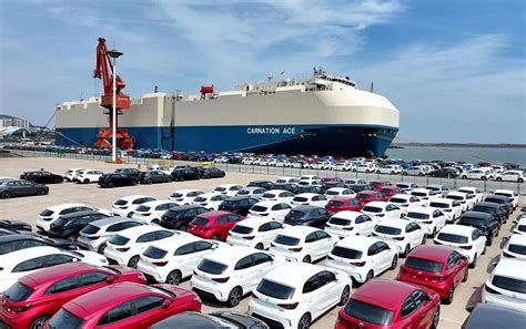 Dutch ornithologist named patient zero in cruise hantavirus outbreak