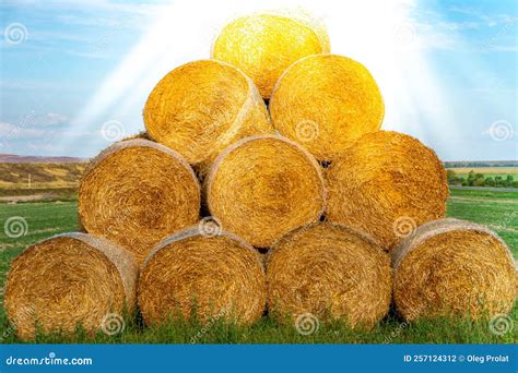 Stacked Hay Bales after Harvest at the Edge of the Field with Sun Rays ...