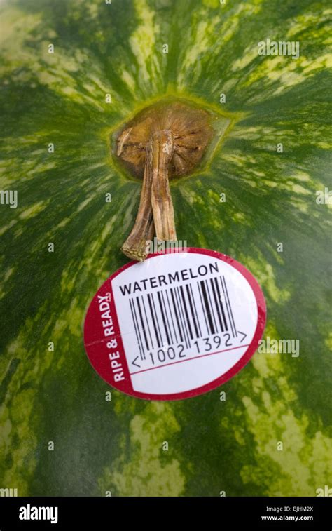 Image result for Bar Code Example