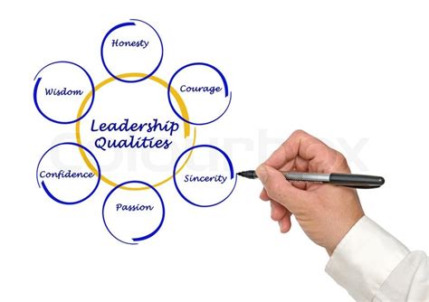 Diagram of leadership qualities | Stock image | Colourbox