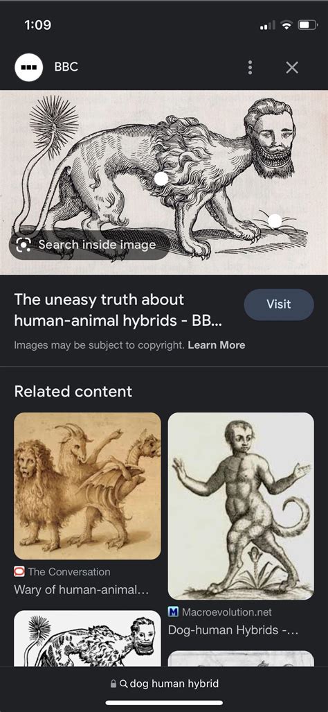 Looking up refrences for dog human hybrids and look who showed up! : r ...