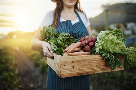 Organic Food: Health Benefits and Hidden Risks of Gut Disease