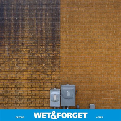 Buy Wet & Forget Outdoor Moss, Mold, Mildew, Algae Stain Remover Multi ...