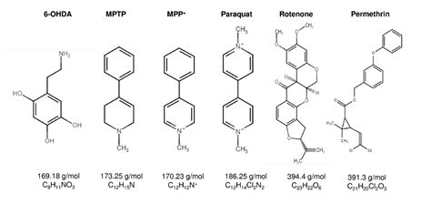 Behavioral Tests in Neurotoxin-Induced Animal Models of Parkinson’s Disease