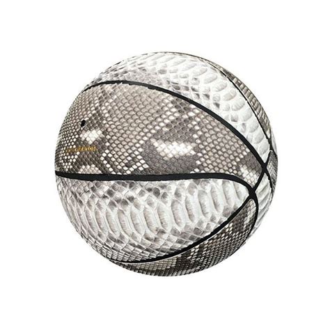 Image result for Python in Basketball Computer Science