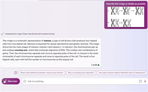 Bing Chat Visual Input 的图像结果