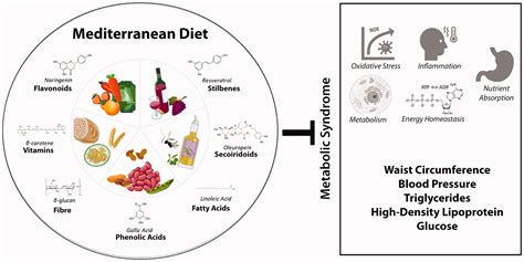 Plant bioactive compounds from Mediterranean diet improve risk factors for metabolic syndrome ...