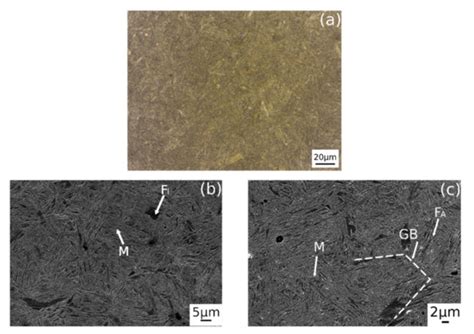 Effect of Intercritical Annealing and Austempering on the ...