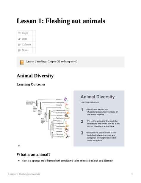 Lesson 1 Fleshing out animals - Lesson 1: Fleshing out animals Topic ...