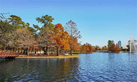 George R. Brown Convention Center, Houston, TX Vacation Rentals (4.9 out of 5) - Airbnb