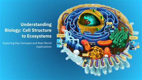 Biology Examples 的图像结果