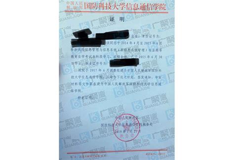 就业《学历认证报告及在线学籍验证报告》，有啥区别，如何获取？