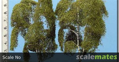 Birch, 90-110 mm, Model Scene BZ102