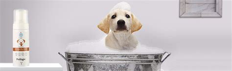 Buy Petlogix Hair Detangle Conditioner Filled with Coconut Oil | All ...