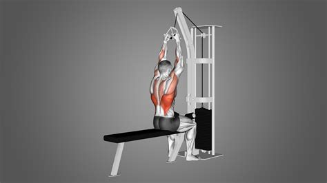 V Grip Lat Pulldowns Exercise Overview: Muscles Worked and More ...