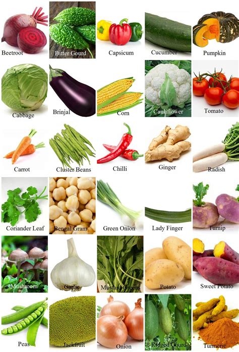 Vegetables Name With Pictures In English - Vegetable Images | Different types of vegetables ...