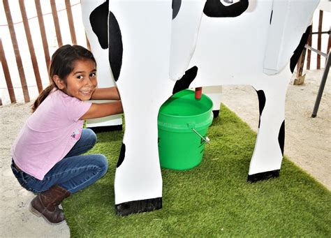 Last Look at Will County Fair 2023 – Farmers Weekly Review