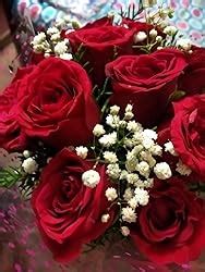 Floralbay Red Roses Bouquet Fresh Flowers In Cellophane Wrapping (Bunch ...
