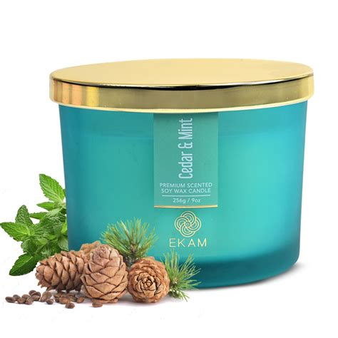 EKAM | 3 Wick Soy Wax Scented Candle | 35 Hours Burn Time | Long ...