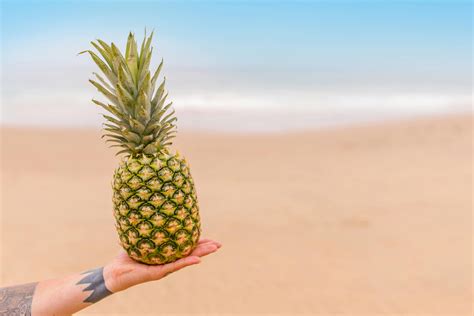 What Does Pineapple Tattoo Mean - Fruits Knowledge World