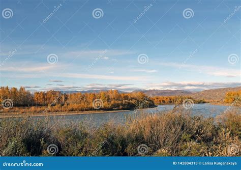 Yenisey River. Beautiful Siberian Rivers and Blue Sky Stock Image ...