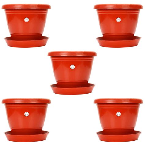 Kraft Seeds Pansy Gardening Hanging Pot/Planter 7 inch (Pack of 5 Pots ...