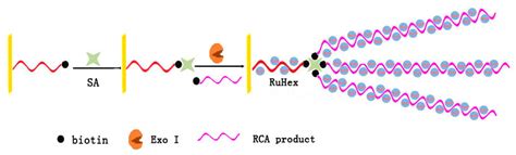Terminal Protection of Small Molecule-Linked DNA for Small Molecule ...