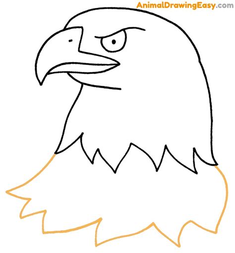 Eagle Draw How Bald 的图像结果