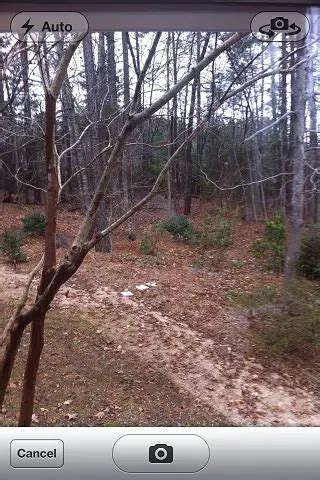 Xcode Camera Access Tutorial 的图像结果