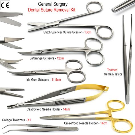 Surgical Tools List: Essential, Advanced, and Specialized Instruments