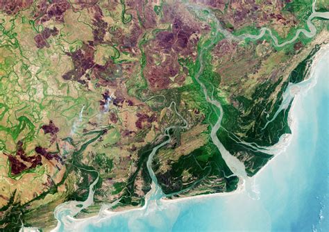 ESA - Zambezi Delta diversity