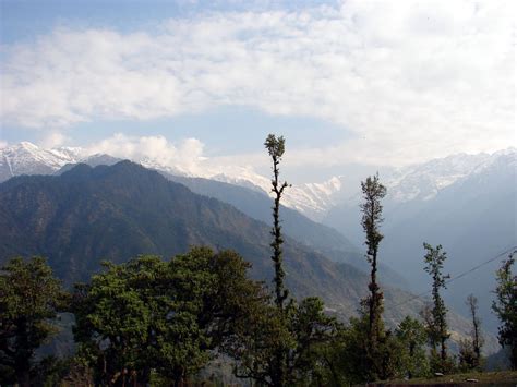 Pindari Glacier (Indian Himalayas)