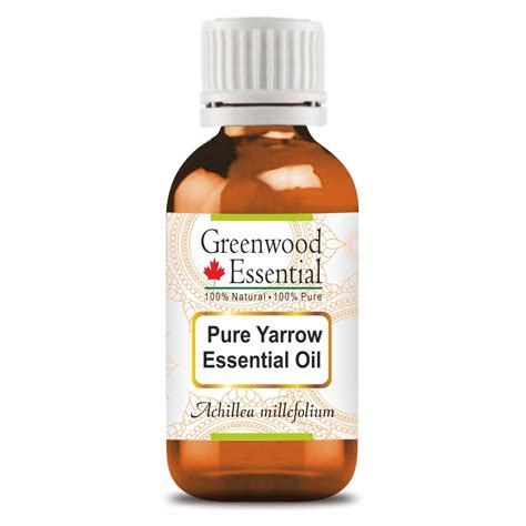 Greenwood Essential Pure Yarrow Essential Oil (Achillea millefolium ...