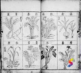 Define Compendium, Compendium Meaning, Compendium Examples, Compendium ...