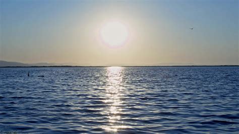 Perfect Ocean View Horizon Line From Island Beach 15359045 Stock Video ...