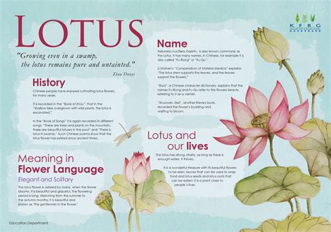 Educational Resources::Kadoorie Farm and Botanic Garden