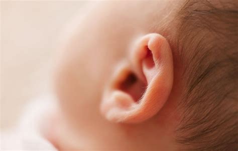 小虫子进入孩子耳朵，2个急救法再着急不能做，做好4点有效预防_耳道