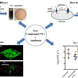 Grassroots Innovation Database [GRID] | A novel compound restores ...