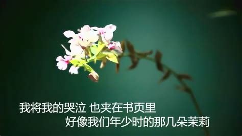 席慕蓉配乐诗三首《一棵开花的树》《禅意》《盼望》_腾讯视频