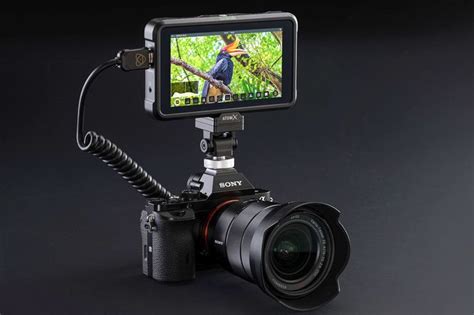 Monitor Camera 的图像结果