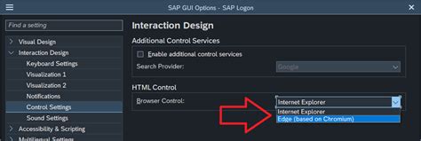 SAP GUI HTML 的图像结果
