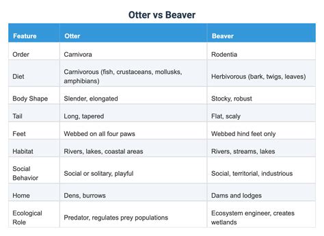 Otter vs Beaver