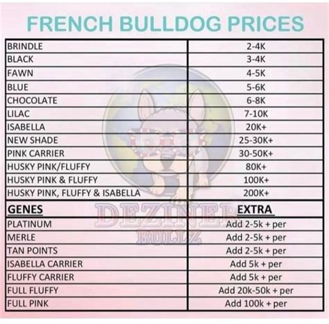The Ultimate French Bulldog Price Guide (2023 Update)