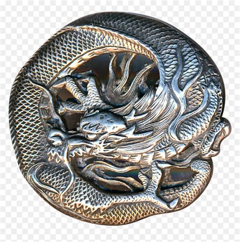 Image result for Python Family