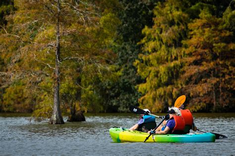 5 reasons to fall in love with autumn in the Chesapeake
