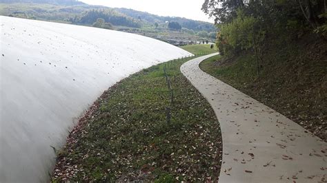 TESHIMA ART MUSEUM - All You Need to Know BEFORE You Go (with Photos ...