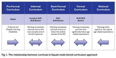 Supporting Inclusion in mainstream through and Equals different ...