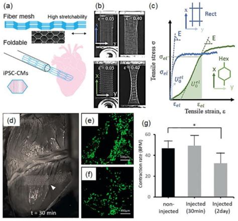 Melt Electrospinning of Polymers: Blends, Nanocomposites, Additives and ...