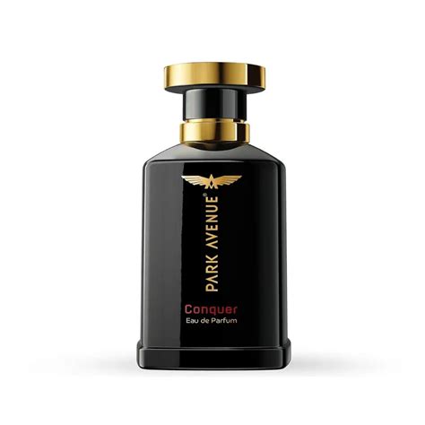 Park Avenue Conquer, Eau De Parfum Men, 100ml – Pari International